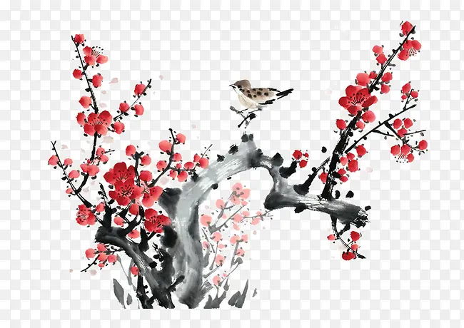 ��֦-������