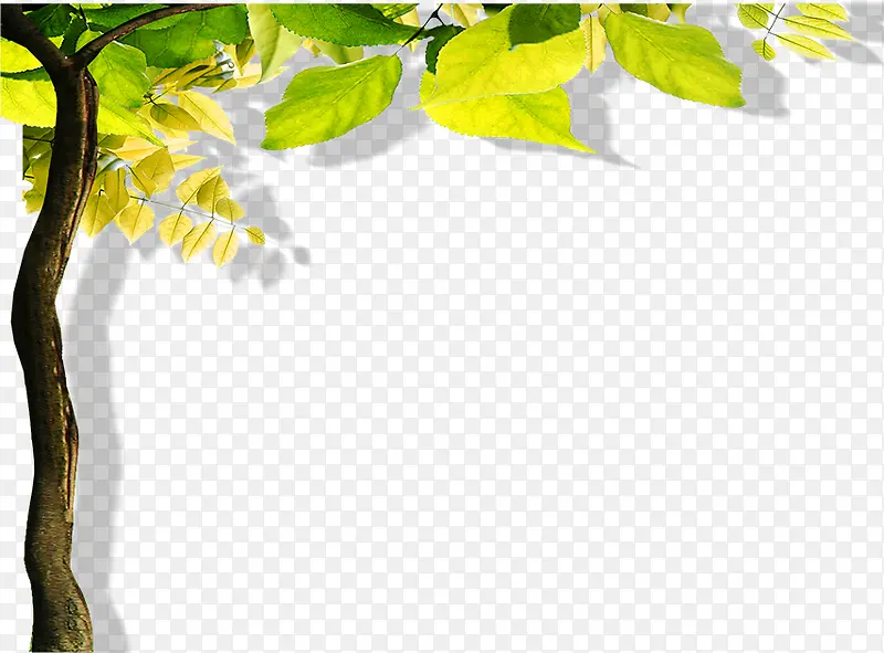 ��-������