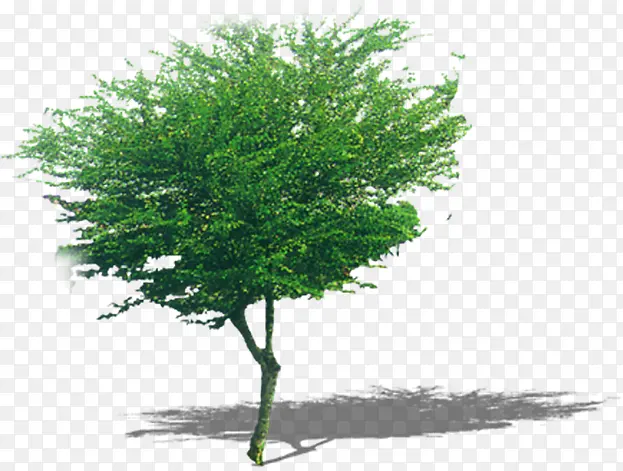 ��-������