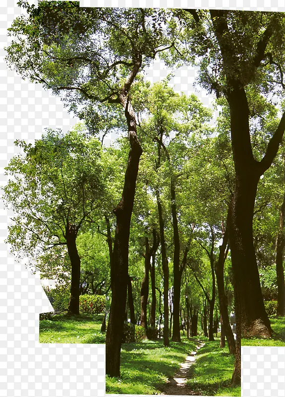 ��-������