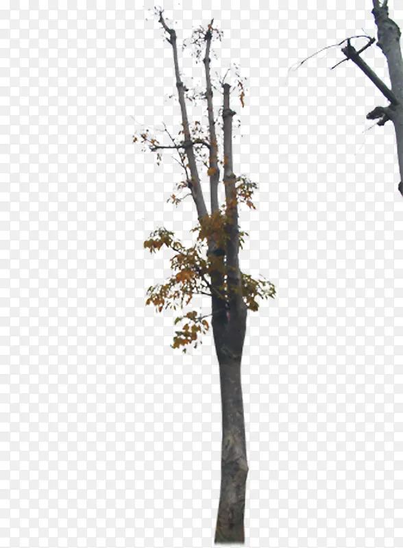 �Ͽ���-������