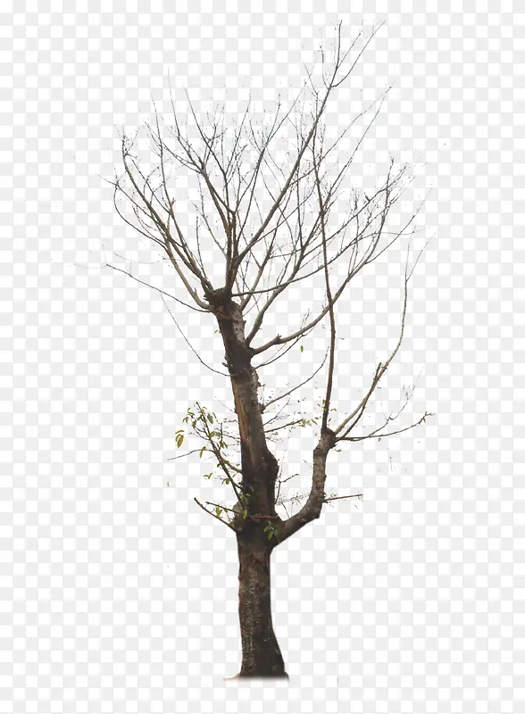 ����-������