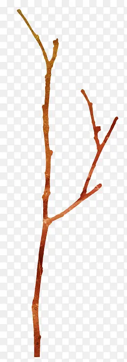 ��֦-������