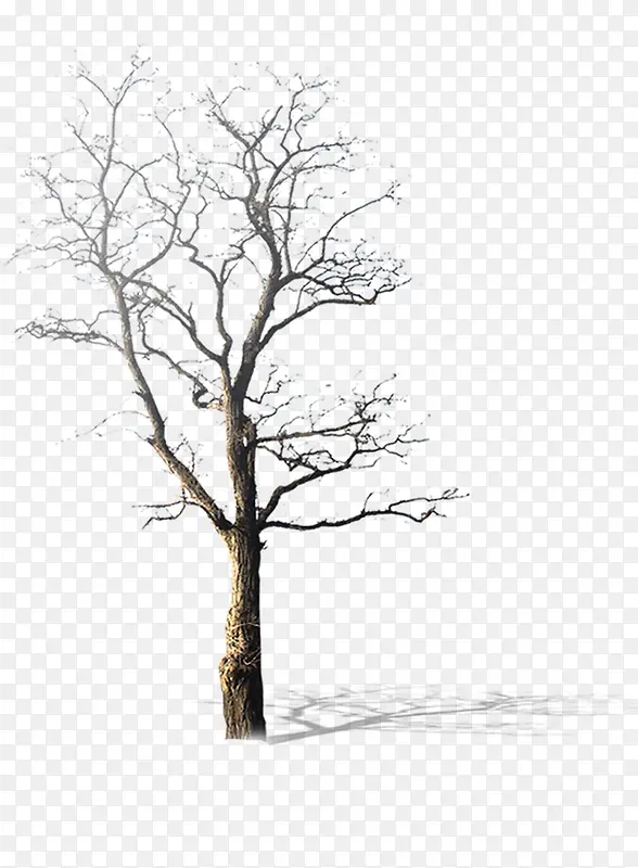 ����-������