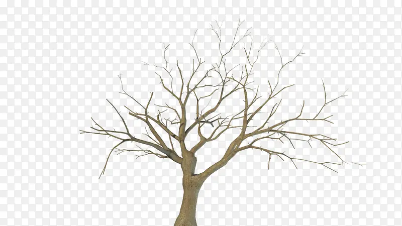 ����֦�����ز�-������