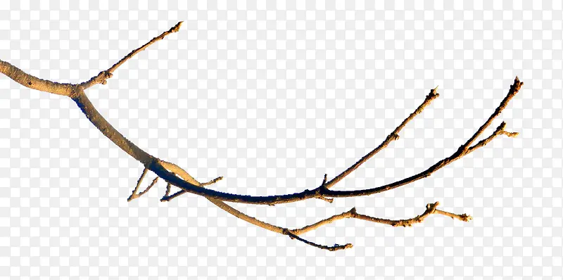 ����֦����-������