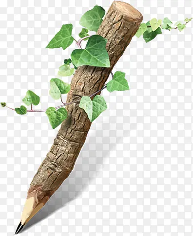 ������Ӱ������ɫ��-������