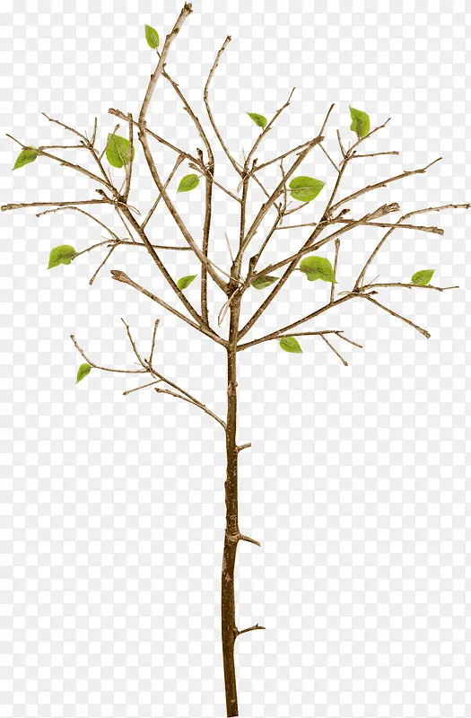 С��-������