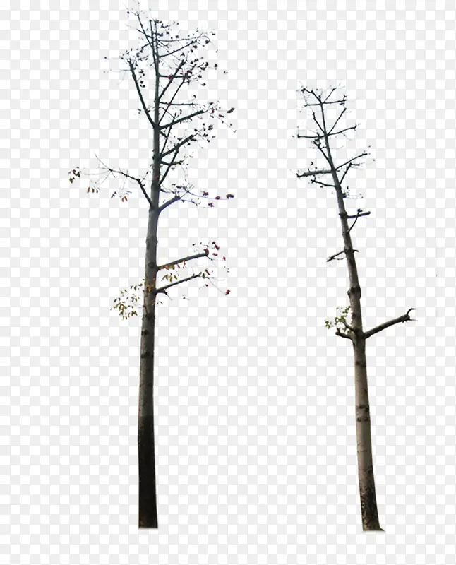 ������-������