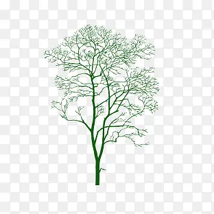 ��ľ-������