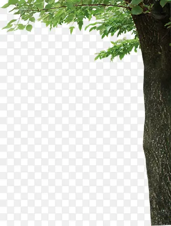 ��-������