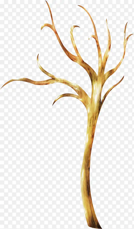 ��֦-������