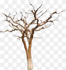 ��-������