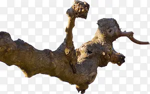 ����-������