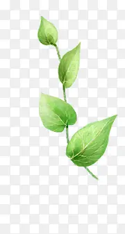 ��Ҷ-������