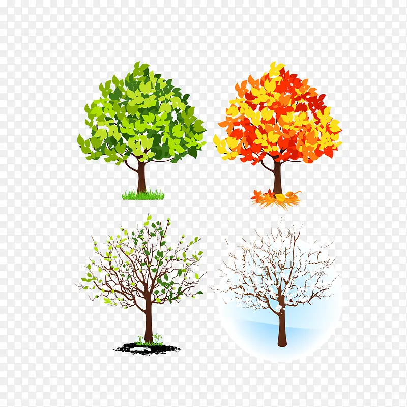 �����С��-������