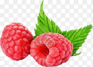 ��ݮ-������