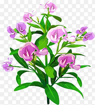 ����-������