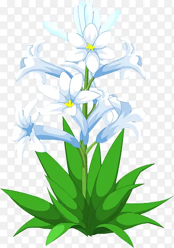 ����-������