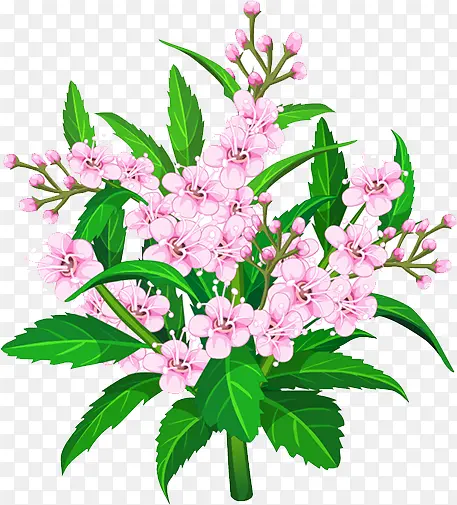 ����-������