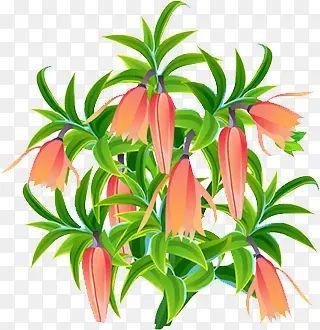 ����-������