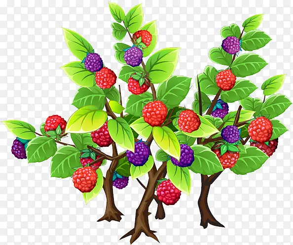 ɣ����-������