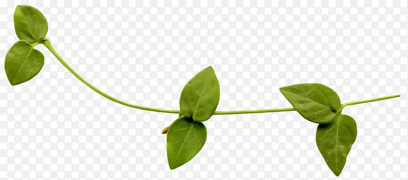 ����-������