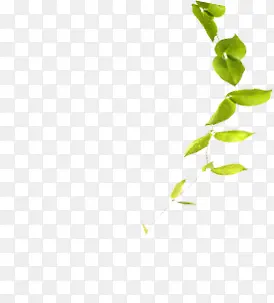 ��֦��ҶԪ��-������