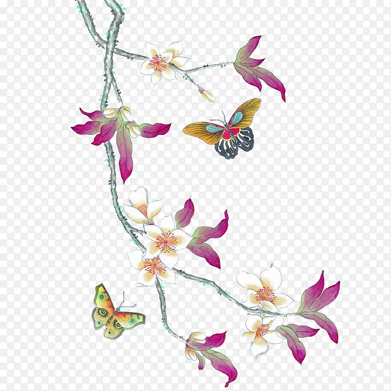 �ŷ�ʻ���֦������Ҷ-������