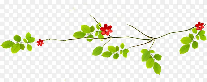 ��֦������֦��Ҷ-������