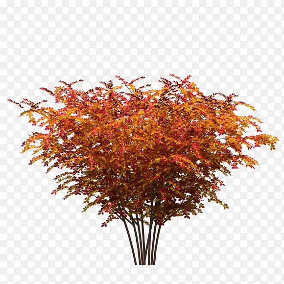 ��Ҷ ϸ�� png�ز�-������