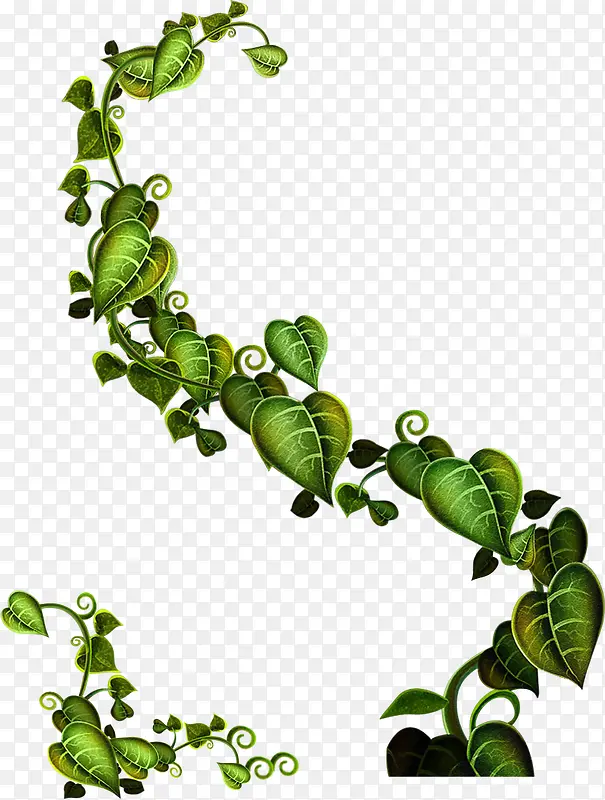 ��ɫ�廭������Ҷ-������