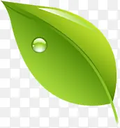 �ֻ�廭¶����Ҷ-������