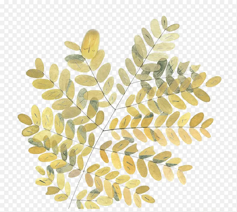 �ֻ�廭-������