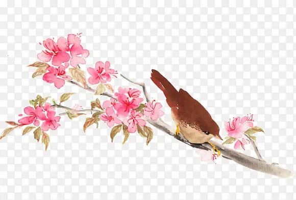 ������֦С��֦Ҷ-������