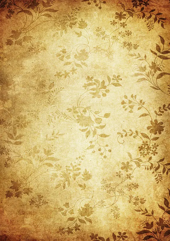 ���ű���-������