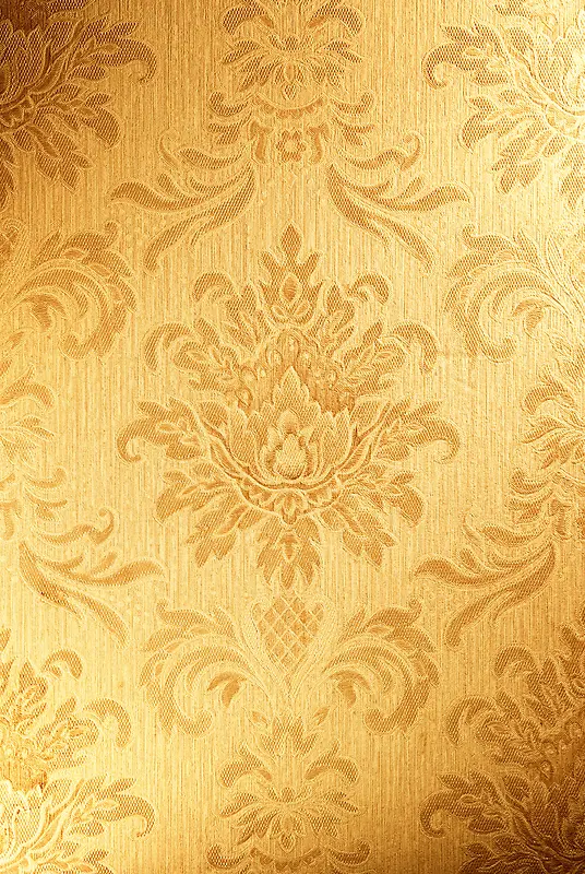 ���ű���-������