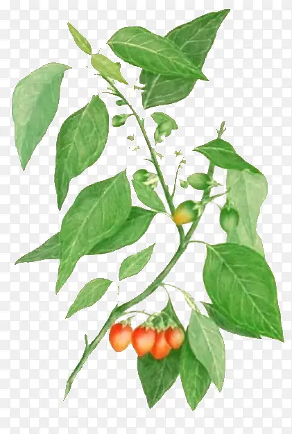 �ֻ�ˮ�����-������