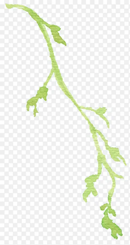 ��ɫ֦��-������