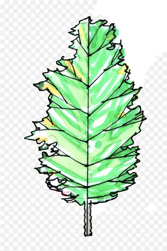 �ֻ�ˮ����ɫҶ��-������