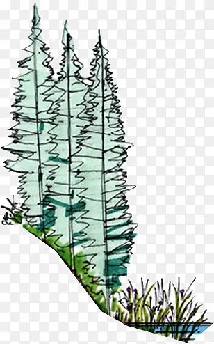 �ֻ�ˮ����ɫɭ��-������