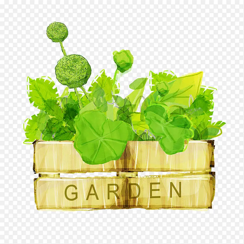 ˮ���ֻ���ɫֲ��-������