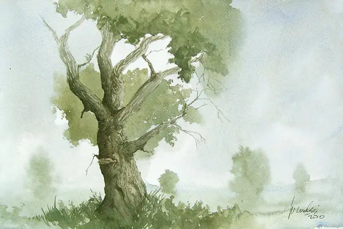 ˮ����ɫ�����羰-������