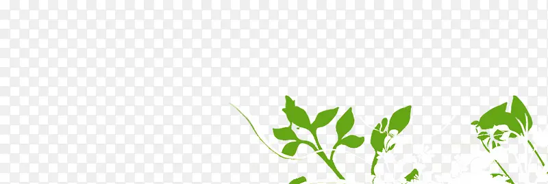 ��ɫˮ��Ҷ��-������