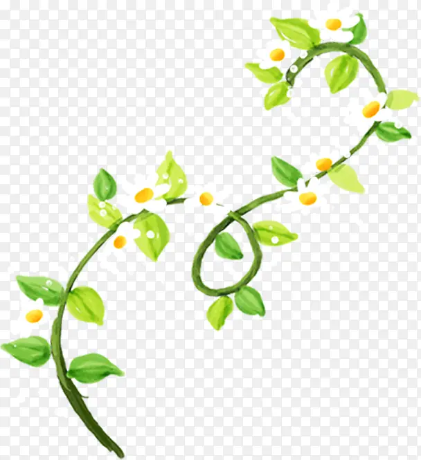 ������ɫˮ��ֲ��-������