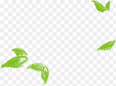 ������ɫˮ����Ҷ-������