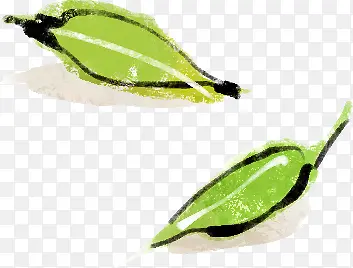 ��ɫˮ����Ҷ����-������