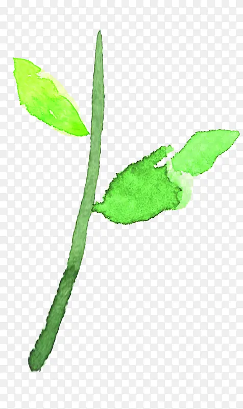 ��ɫˮ������ֲ��-������