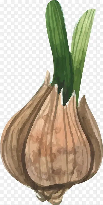 ˮ��ʸ����ɫˮ��-������