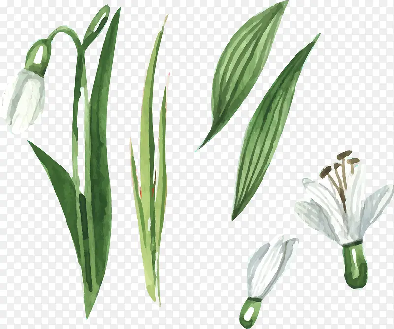 ˮ��ʸ����ɫˮ��-������